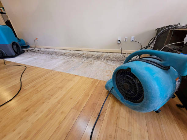 Professional Water Extraction technician working in Manton, MI